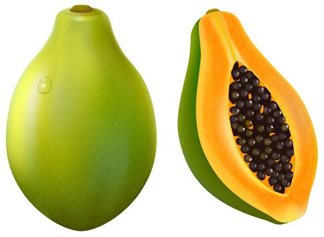 pabaya clipart